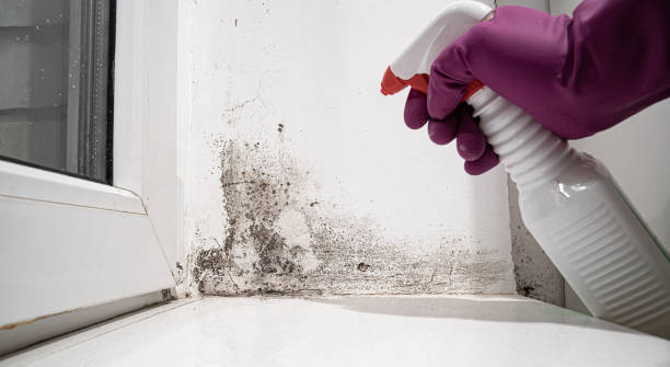 Best Sewage cleanup and water damage restoration  in Lake Of The Woods, AZ